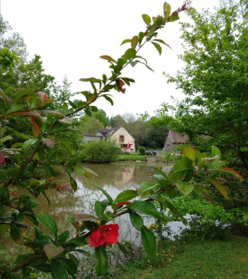 Вілла 24H Le Mans - Les Haies Gite, Near Le Mans Circuit Coulans-sur-Gee Екстер'єр фото